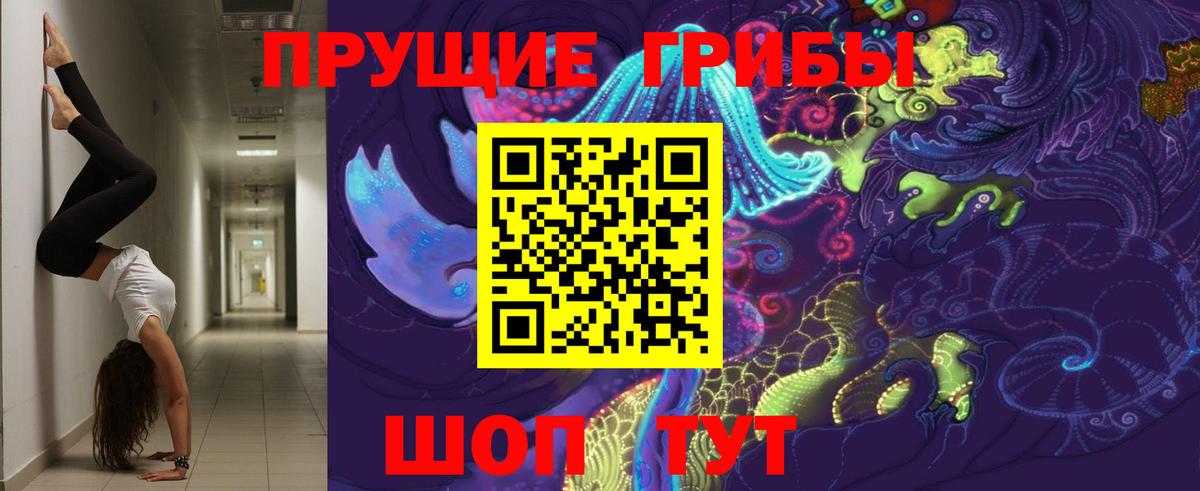 Людиново  Галлюциногенные грибы прущие грибы  Вход с VPN 